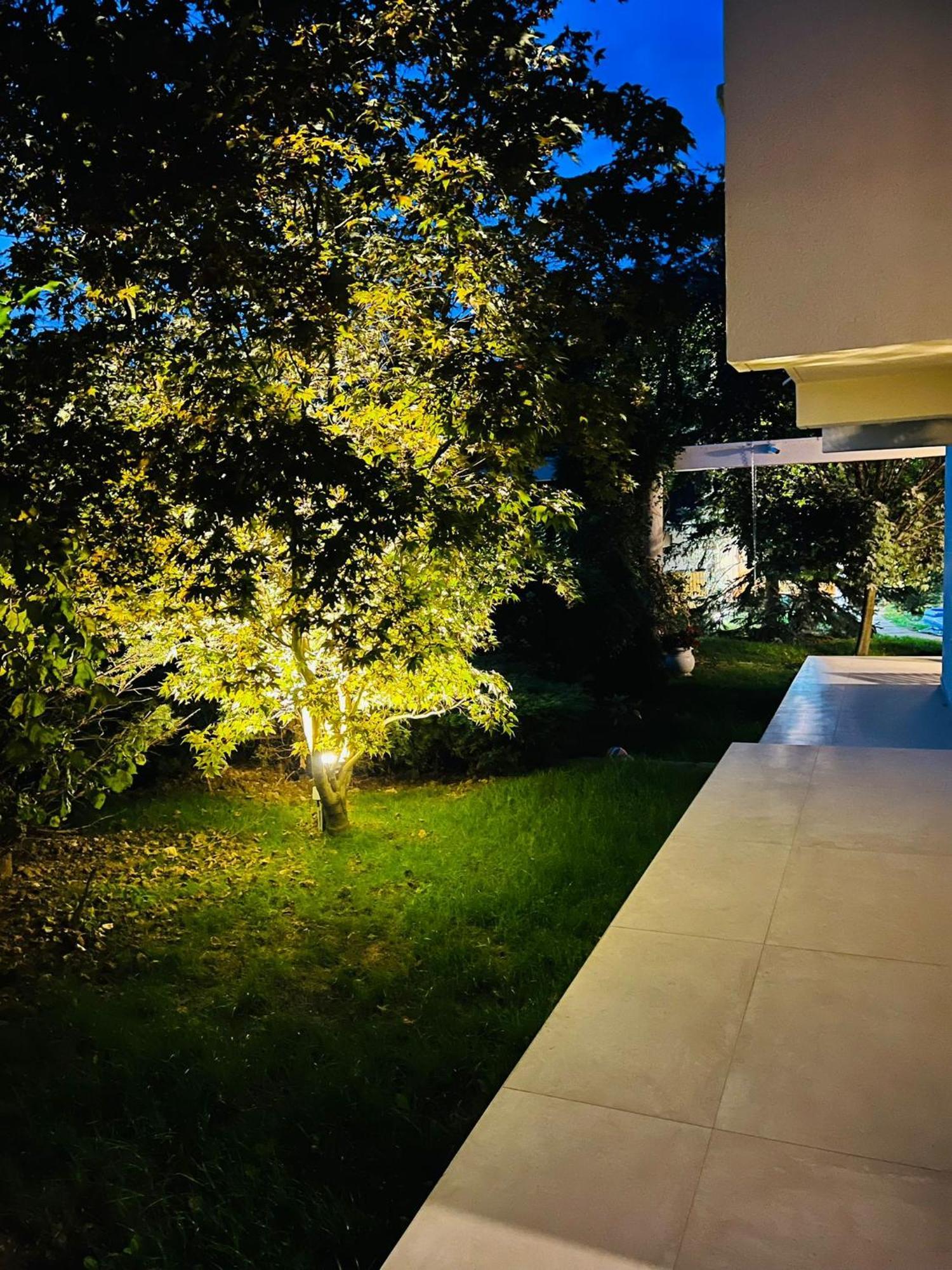 Villa Evie'S Tree House Dragomirna Exterior foto